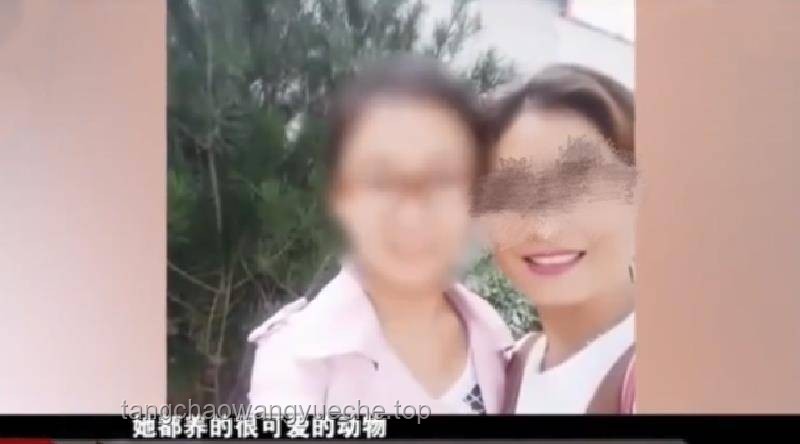 女子疑被蛇咬死事件对比分析：真相探寻与家属态度